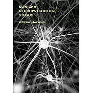 Clinical neuropsychology in practice - Petr Kulišťák  Kol.