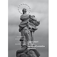 Mariánský sloup na Hradčanském náměstí - Pavel Zahradník  Kateřina Adamcová