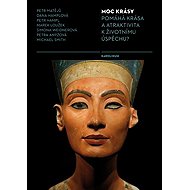 Moc krásy - Dana Hamplová  Simona Weidnerová  Michael L. Smith  Petra Anýžová  Petr Hampl  Petr Matějů  Marek Loužek