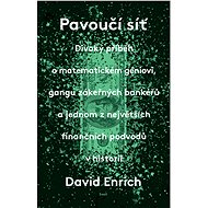 Pavoučí síť - David Enrich