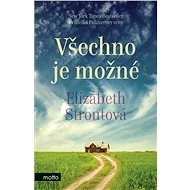 Všechno je možné - Elizabeth Stroutová
