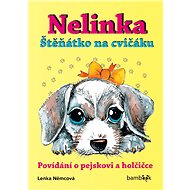 Nelinka - Puppy on training ground - Lenka Němcová