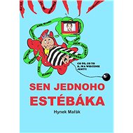 Sen jednoho estébáka - Hynek Mařák