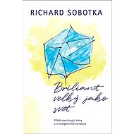 Briliant velký jako svět - Richard Sobotka