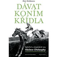 Dávat koním křídla - Petr Feldstein