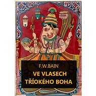 Ve vlasech tříokého boha - Francis William Bain