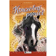 Kouzelní poníci - Třpytivé štěstí - Sue Bentleyová