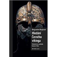 Hledání Černého vikinga - Bergsveinn Birgisson