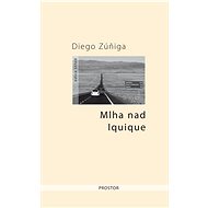 Mlha nad Iquique - Diego Zúñiga