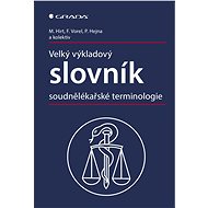 Large explanatory dictionary of forensic terminology - Miroslav Hirt