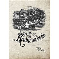 Kruhy na vode (SK) - Mária Slivenská PhDr.