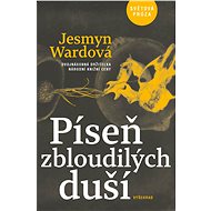 Píseň zbloudilých duší - Jesmyn Wardová