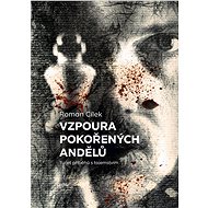 Vzpoura pokořených andělů - Roman Cílek
