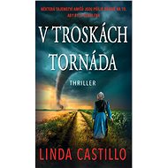 In the wreckage of a tornado - Linda Castillo