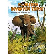 Pohledem divokých zvířat - Collective  Multiple authors