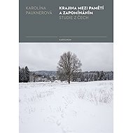 Landscape between memory and forgetting - Karolína Pauknerová