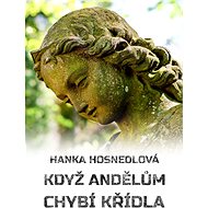 Když andělům chybí křídla - Hanka Hosnedlová