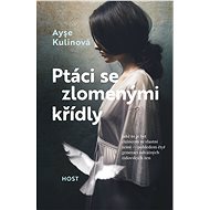 Ptáci se zlomenými křídly - Ayse Kulinová