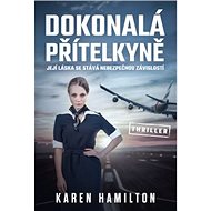 Dokonalá přítelkyně - Karen Hamilton