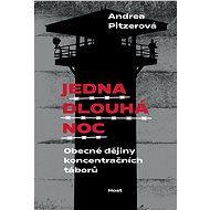 Jedna dlouhá noc - Andrea Pitzerová
