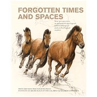 Forgotten Times and Spaces - Martin Novák