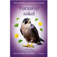 Nové příběhy se šťastným koncem – Poraněný sokol - Michal Belšán