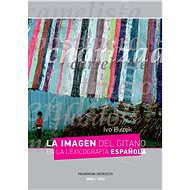 La imagen del gitano en la lexicografía espanola - Ivo Buzek