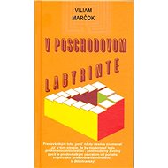 V poschodovom labyrinte - Viliam Marčok