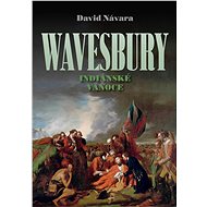 Wavesbury: Indiánské Vánoce - David Návara