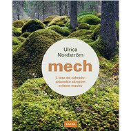 Mech - Ulrica Nordström