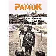 Something weird in my head - Orhan Pamuk