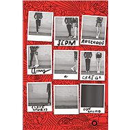 Sedm rozchodů Amy a Craiga - Don Zolidis