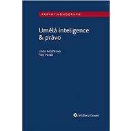 Umělá inteligence & právo - Linda Kolaříková