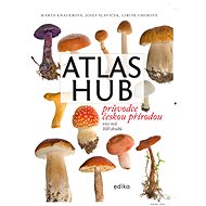Atlas hub - Marta Knauerová