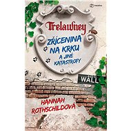 Ruin on the neck and other disasters - Hannah Rothschildová