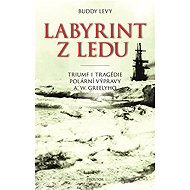 Labyrint z ledu - Buddy Levy