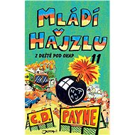 Mládí v hajzlu: Z deště pod okap - C.D. Payne