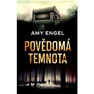 Povědomá temnota - Amy Engel