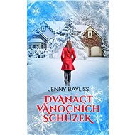 Dvanáct vánočních schůzek - Jenny Bayliss