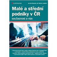 Small and medium-sized enterprises in the Czech Republic - present and vision - Jarmila Straková