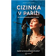 A stranger in Paris - Joanna Reesová