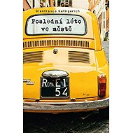 Last summer in the city - Gianfranco Calligarich