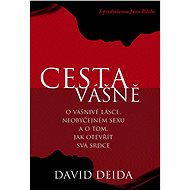 Cesta vášně - David Deida