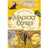 Magický expres - Mezi světlem a stíny - Anca Sturmová