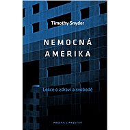 Nemocná Amerika - Timothy Snyder