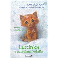 Lucy and the stray kitten - Anne Boothová