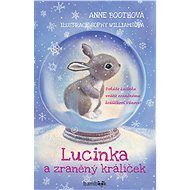 Lucy and the wounded rabbit - Anne Boothová