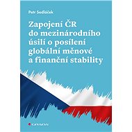 Involvement of the Czech Republic in international efforts to strengthen global monetary and financi - Petr Sedláček