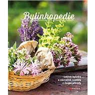 Bylinkopedie - Collective