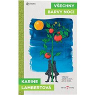 All the colours of the night - Karine Lambertová